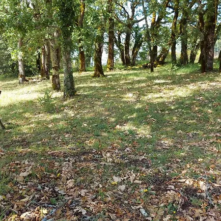 Gospodarstwo wiejskie La Selva
